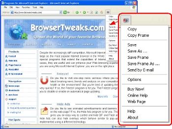 Download IE Screenshot Pro
