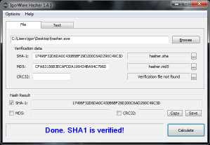 Download IgorWare Hasher