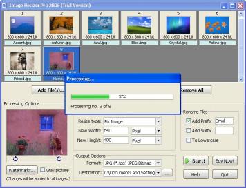 Download Image Resizer Pro 2006