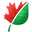ImageConverter Plus imageconverter plus