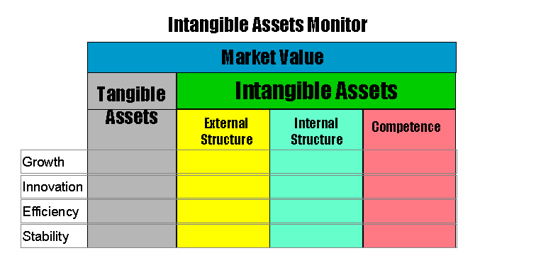 Intangible Assets Software