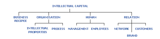 Intellectual Capital Measurement (MEGA)