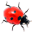 Ladybug on Desktop Screensaver ladybug on desktop screensaver