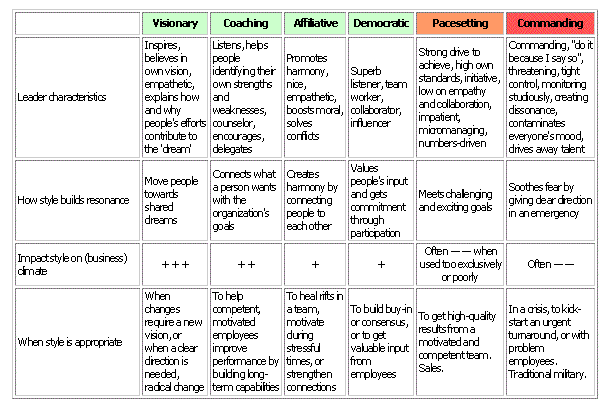 Leadership Styles (MEGA)