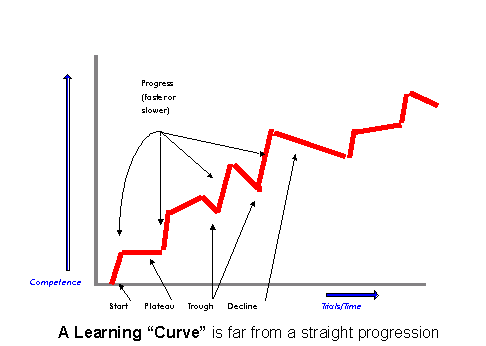 Learning Curve Mega Software