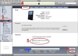 Download Lenogo iPod to PC Transfer for Mac
