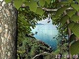 Download Living Forest 3D Screensaver