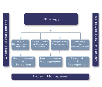 Management Theory Software