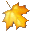 Maple Professional