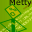 Metty Meta Tag Maker