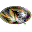 Mizzou IE Browser Theme mizzou ie browser theme