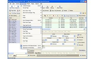 Download Mp3 Tag Assistant Professional