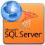 MS SQL Server Paradox Import, Export & Convert Software ms sql server paradox import, export & convert software