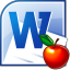 MS Word Teacher Lesson Plan Template Software