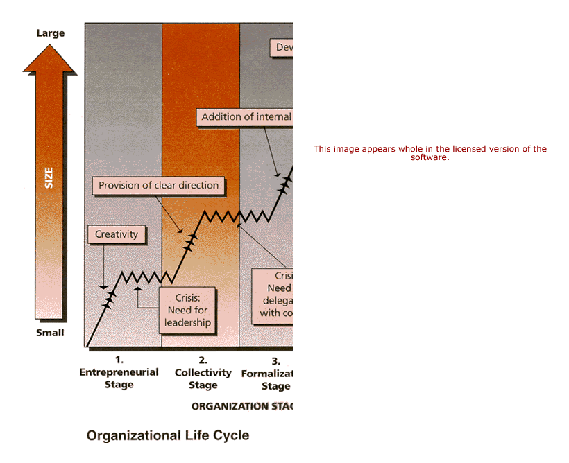 Organization Evolution Revolution