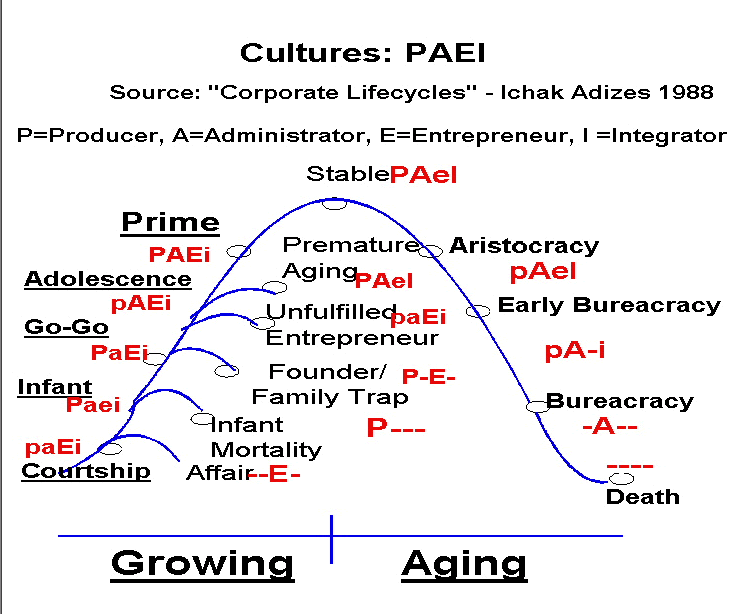 PAEI Software