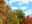 Perfect Autumn Screensaver