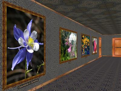 Download Phota Flowers Screensaver