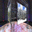 Photo Gallery 3D Screensaver photo gallery 3d screensaver
