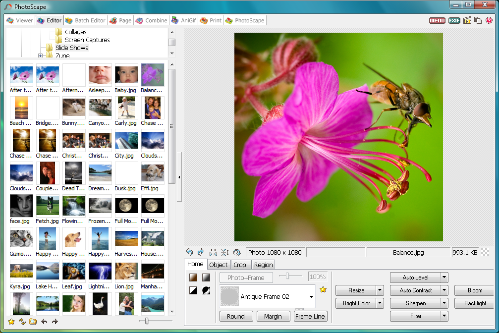 download photoscape for pc