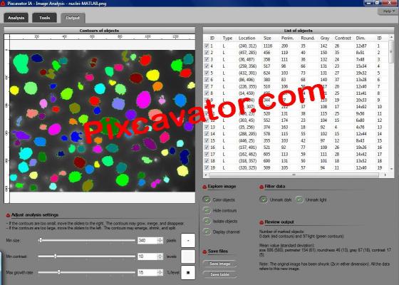 Download Pixcavator IA - Image Analysis