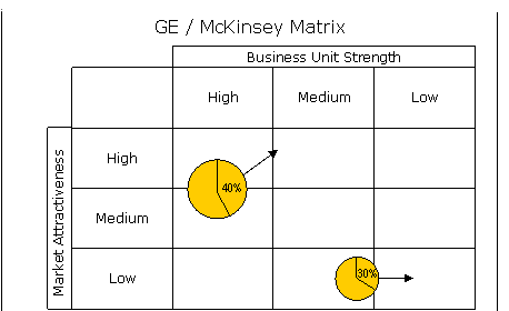 Portfolio Analysis (MEGA)