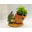 prospect listing prospect listing
