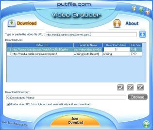 Download Putfile.com Video Grabber InDepth