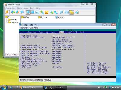Download Radmin Viewer