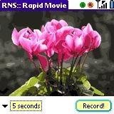 Download Rapid Movie