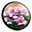 Realtime Landscaping Plus 4 Trial realtime landscaping plus 4 trial