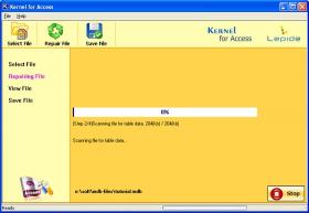 Download Repair Access