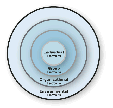 Risk Domains Software