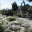 Rotary Gardens Screen Saver rotary gardens screen saver
