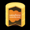 Salesforce Marketing Cloud (ExactTarget) ODBC Driver (32/64 bit)