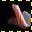 screensaver&jamon iberico-v4