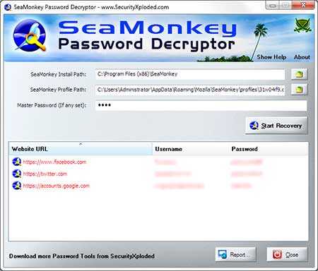 Download SeaMonkey Password Decryptor