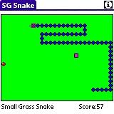 Download SG Snake for PALM