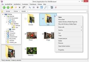 Download ShellBrowser Components Delphi Edition