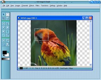Download SID Image InDepth