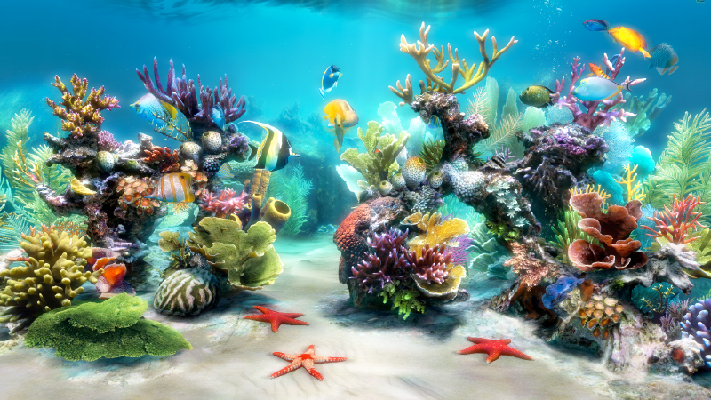 sim aquarium 3d