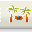 Site Submit site submit