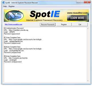 Download SpotIE Password Recovery