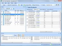 Download SQL Data Examiner 2010 R2