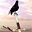 Sword of Honor 3D Screensaver sword of honor 3d screensaver