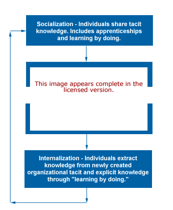 Tacit KnowledgeLearning Software