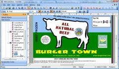 Download Tattoo ID Business Edition