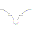 Texas Longhorns Firefox Theme texas longhorns firefox theme