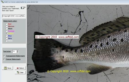 Download Text To Photo