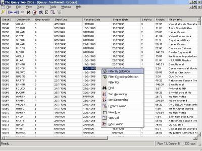 Download The Query Tool 2005